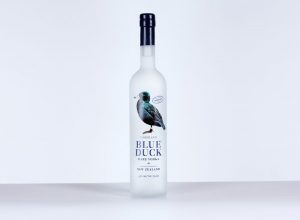 Blue Duck