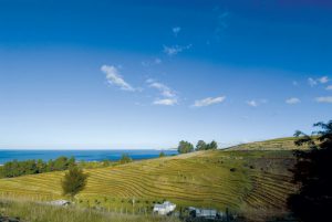 rsz_nzln-eskvalley_esk_valley_and_pacific_ocean_011