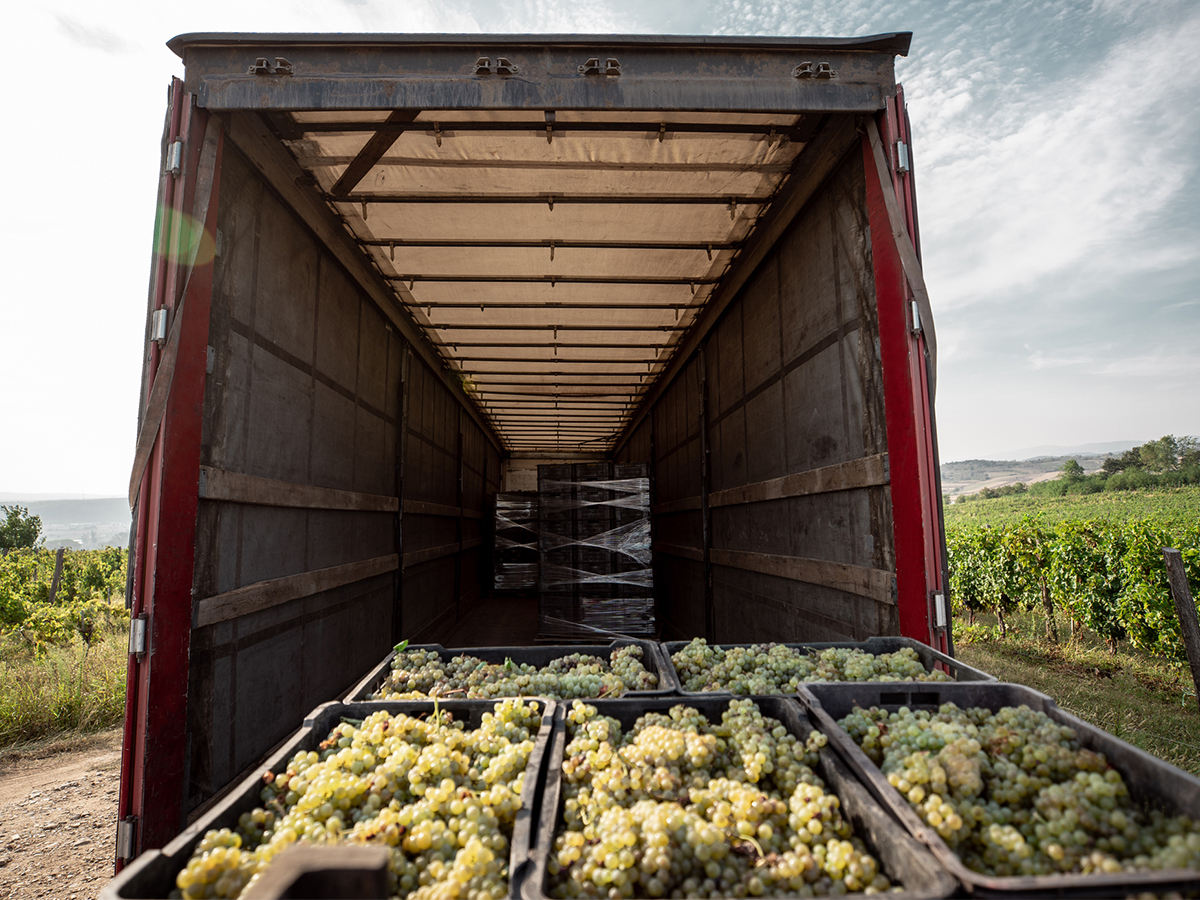 Transporting New Zealand says cheers to fewer grape harvest spills